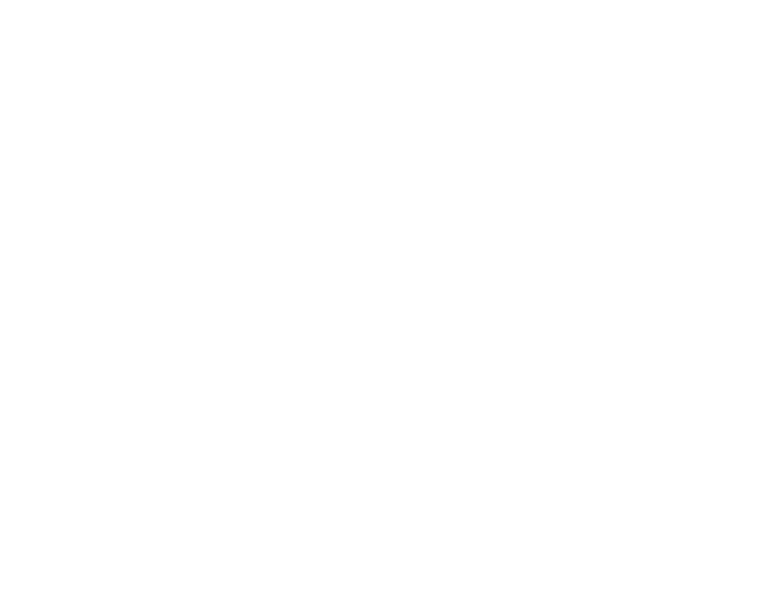 Imagine Canada - Accredited since 2013