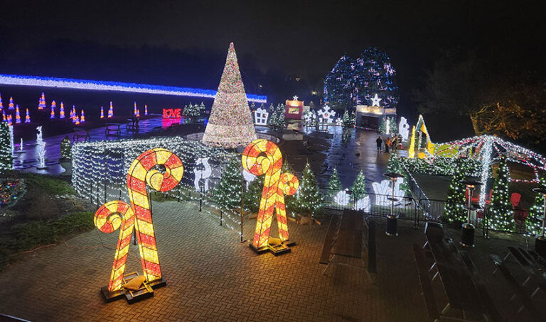 Gift of Lights