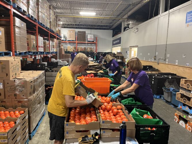 Warehouse volunteers at fresh produce hamper line