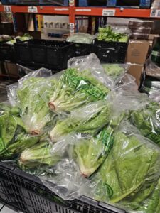 Lettuce grown and donated by Werkr Tractors.