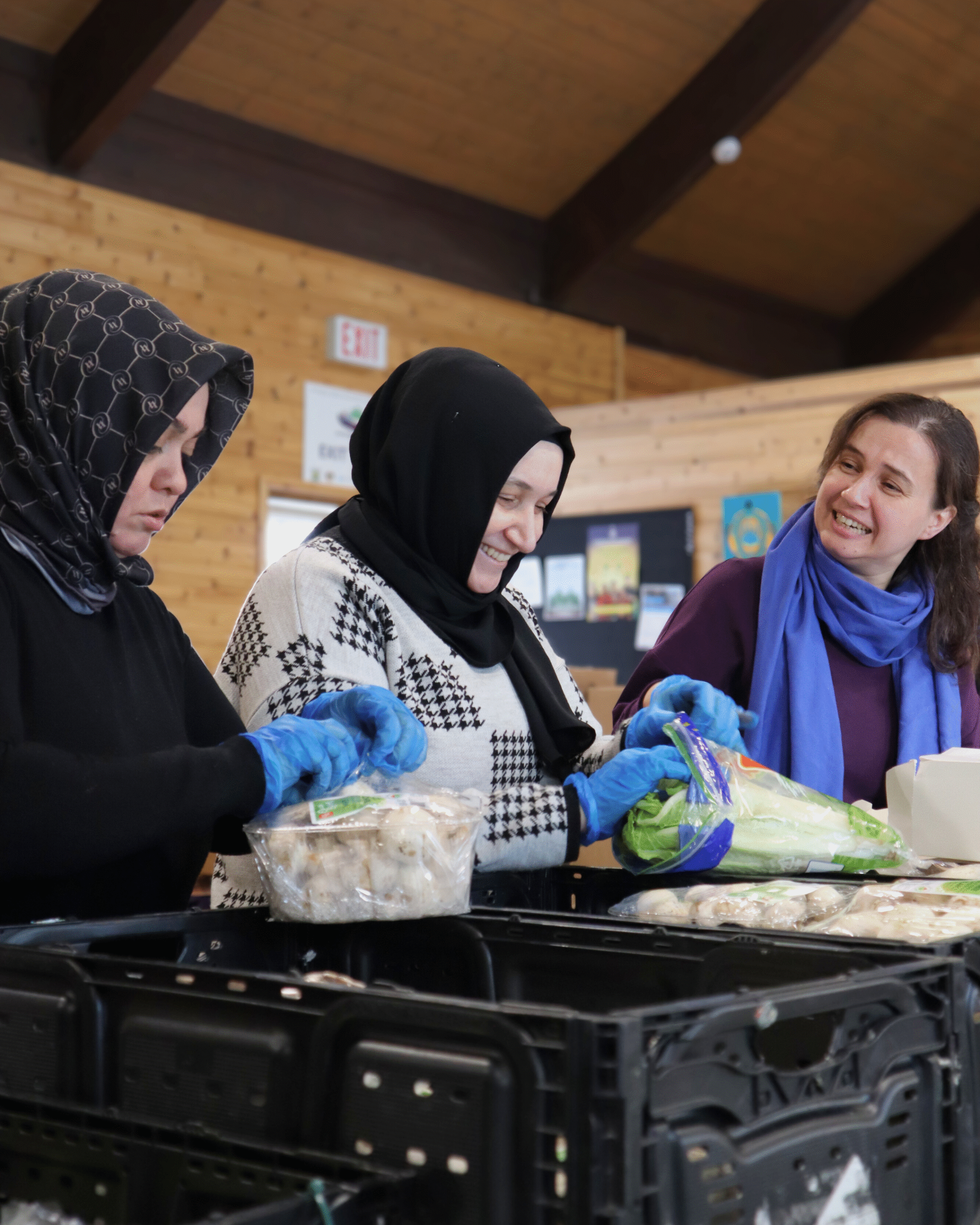 Staff and volunteers packing food hampers.