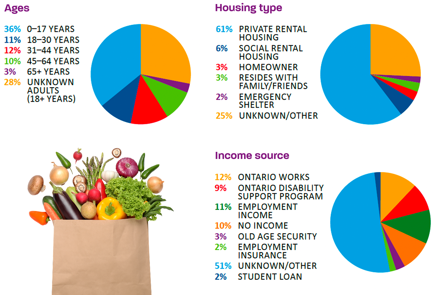 Pie charts showcasing the participant demographics of the Food assistance program, including ages, houseing types amd income source.