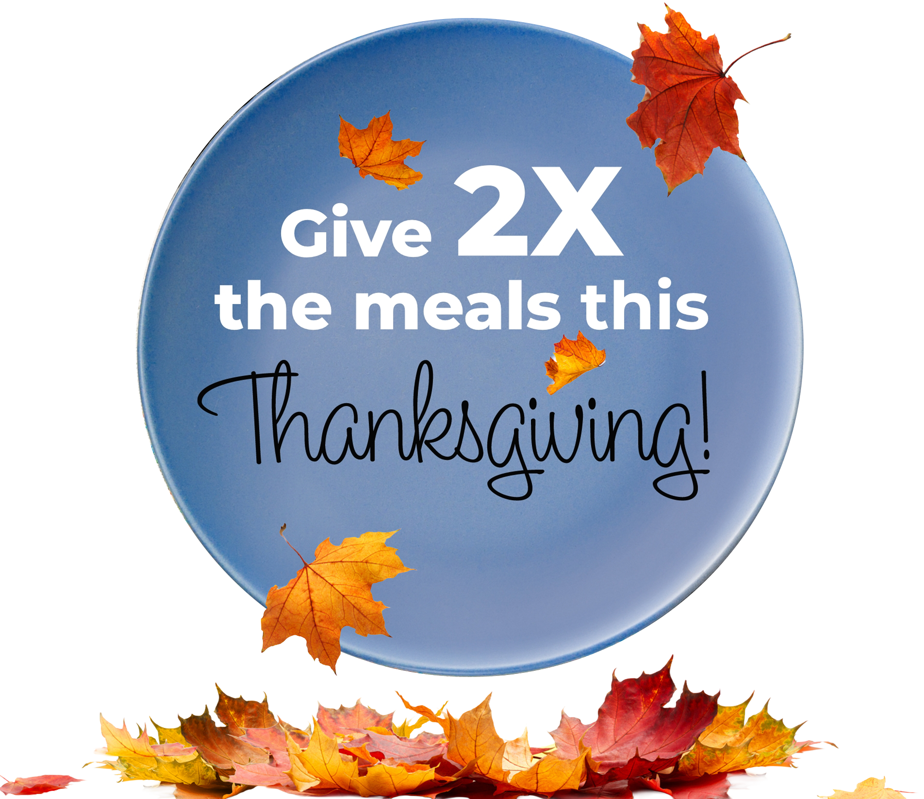 Thankgiving blue plate floating above a pile of fall leaves.